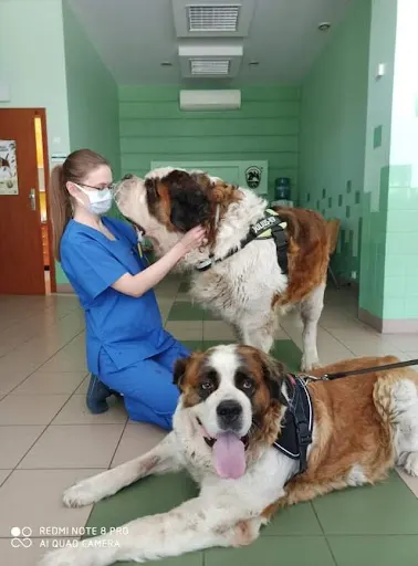 Lecznica AS/Przychodnia Weterynaryjna AS. Profilaktyka i leczenie zwierząt domowych, egzotycznych. RTG, USG, szpital, apteka